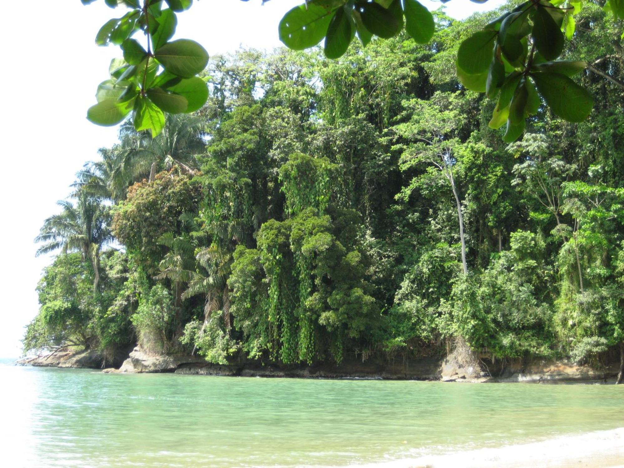 El Tucan Jungle Lodge Puerto Viejo de Talamanca エクステリア 写真