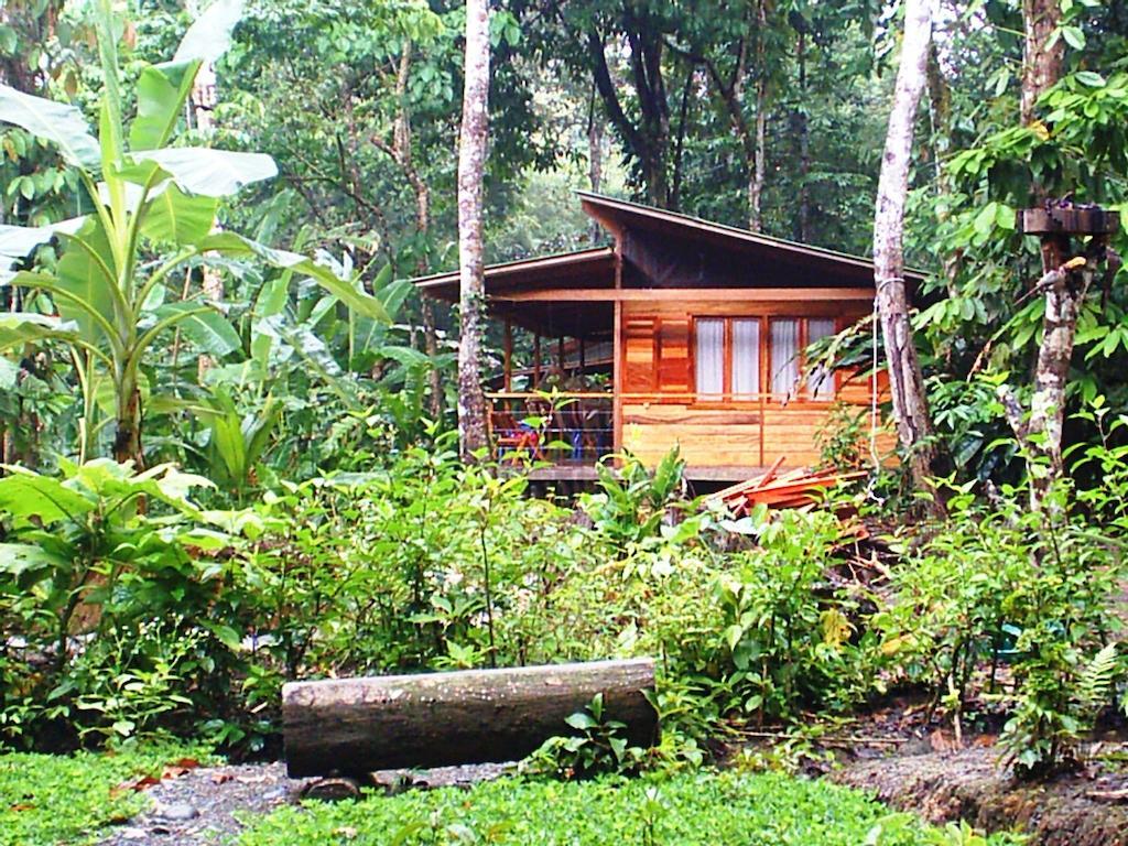 El Tucan Jungle Lodge Puerto Viejo de Talamanca エクステリア 写真
