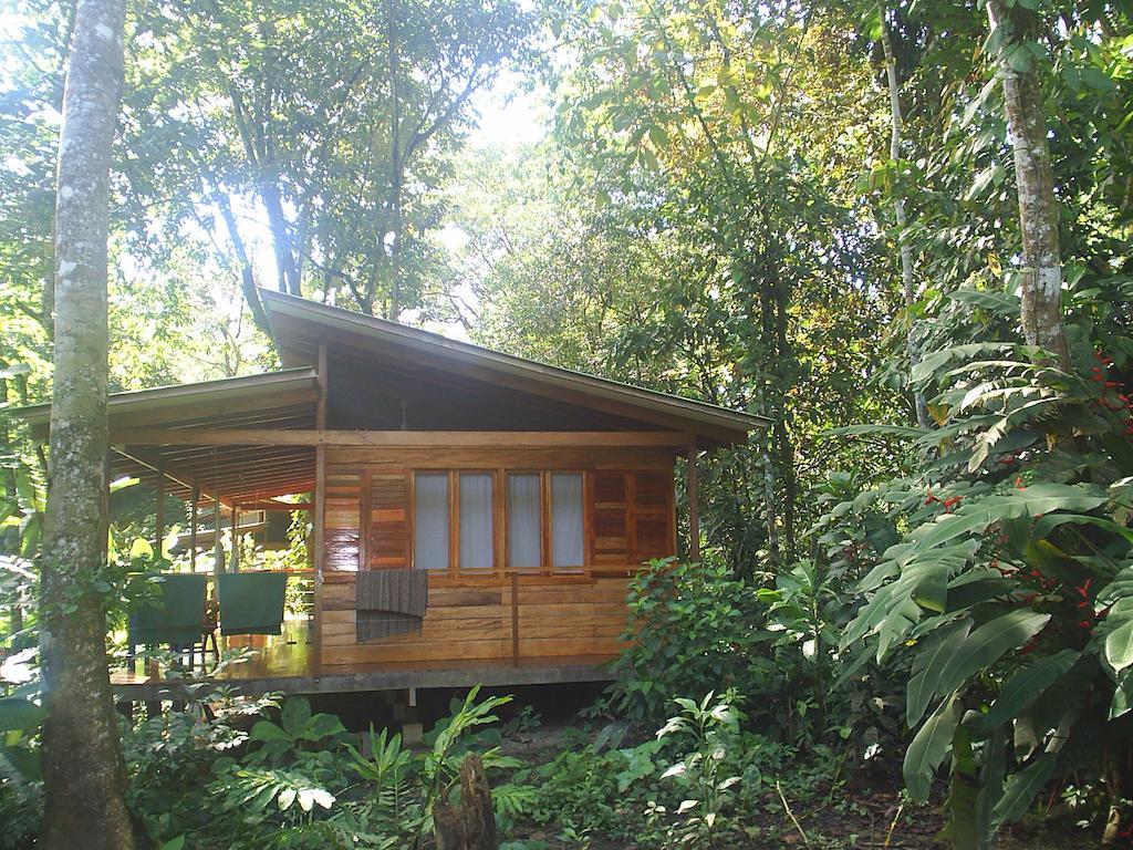El Tucan Jungle Lodge Puerto Viejo de Talamanca 部屋 写真