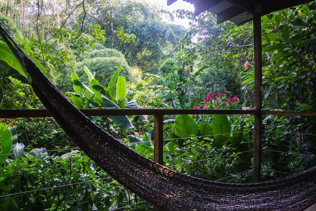 El Tucan Jungle Lodge Puerto Viejo de Talamanca エクステリア 写真