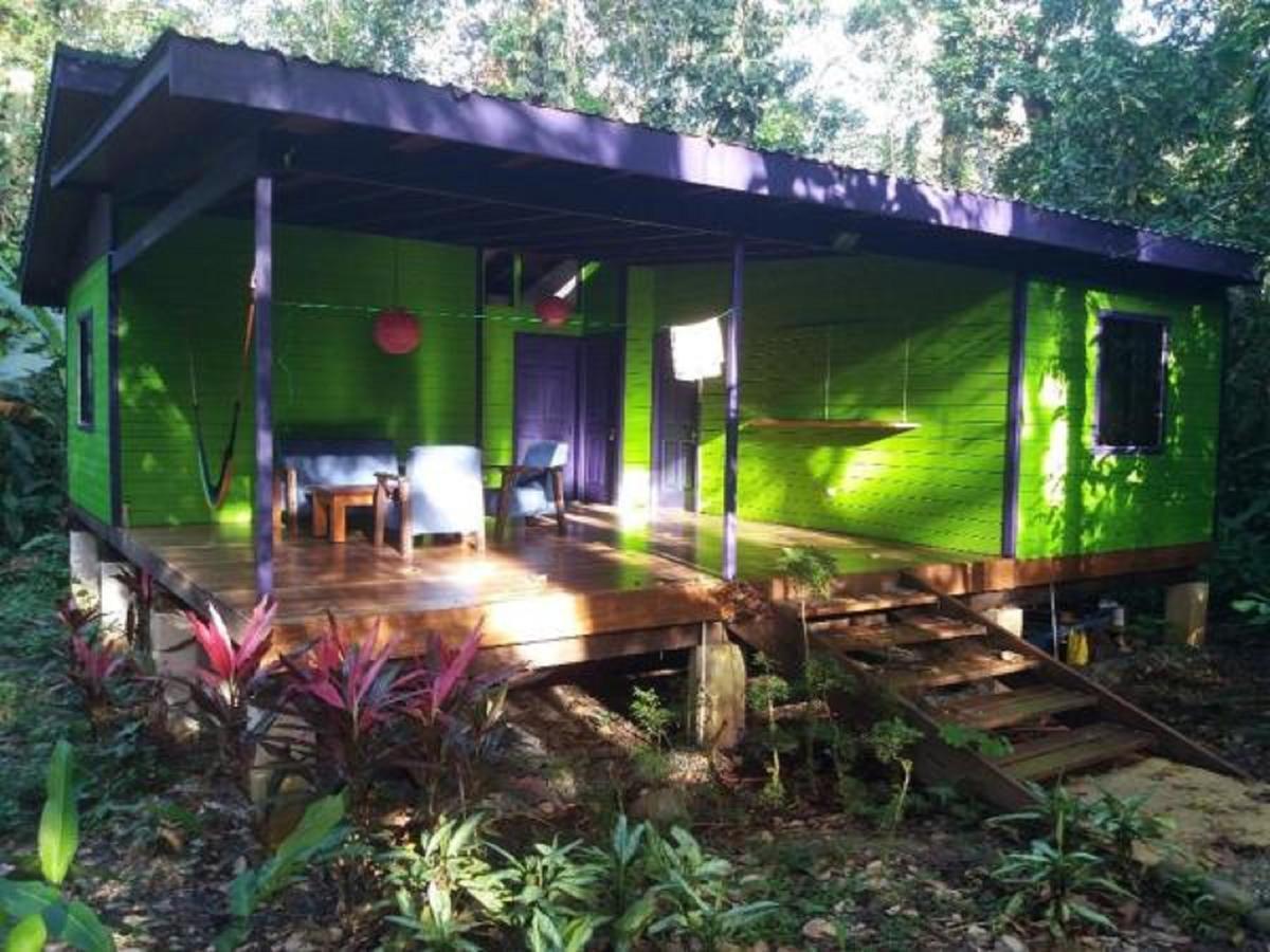 El Tucan Jungle Lodge Puerto Viejo de Talamanca エクステリア 写真