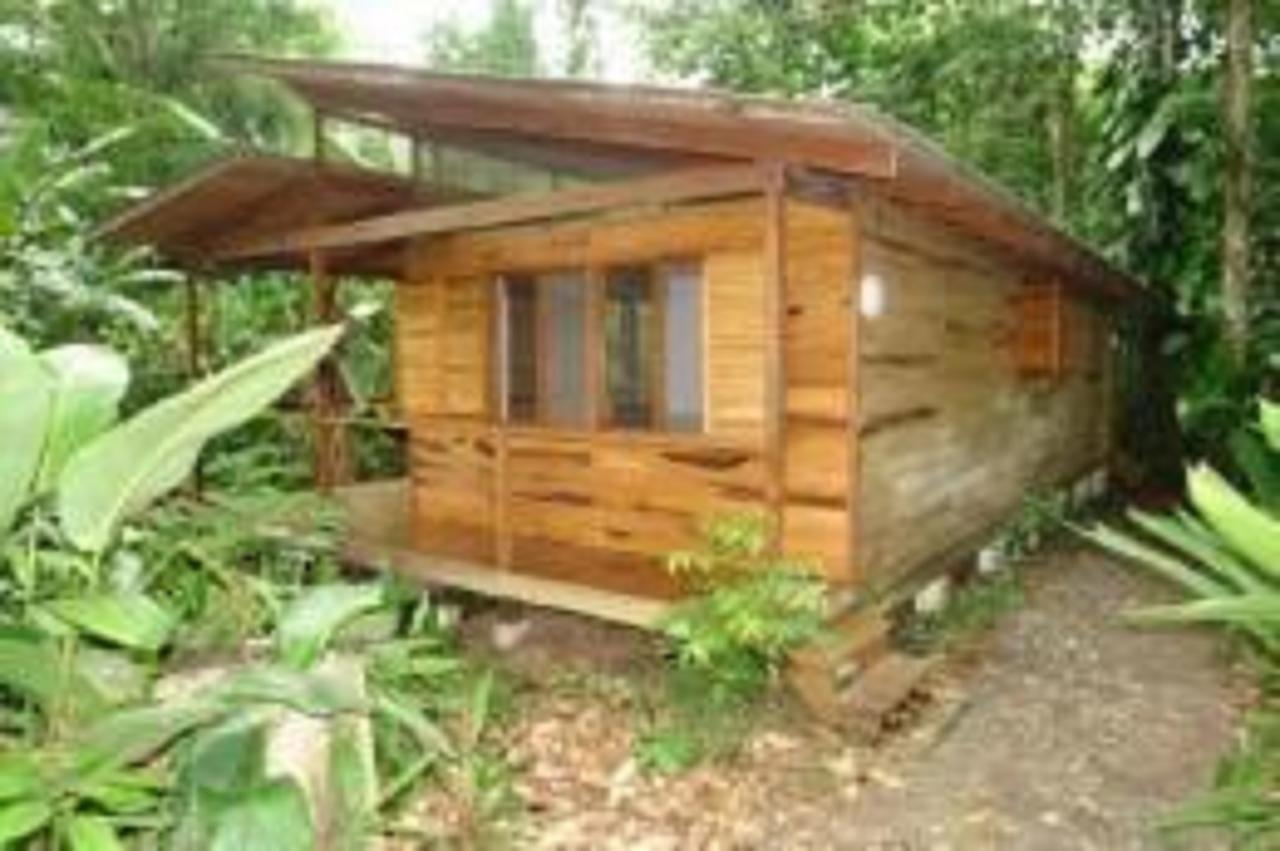 El Tucan Jungle Lodge Puerto Viejo de Talamanca エクステリア 写真