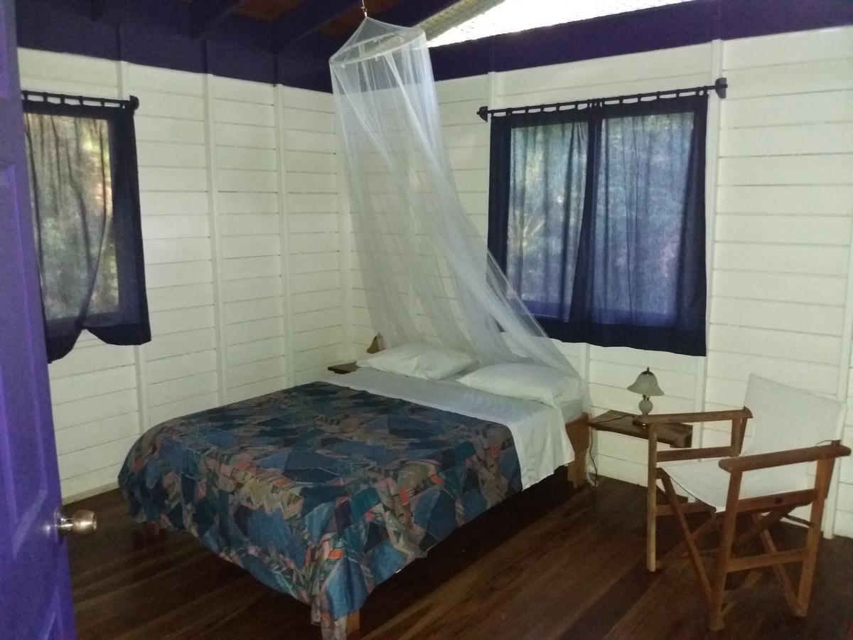 El Tucan Jungle Lodge Puerto Viejo de Talamanca エクステリア 写真