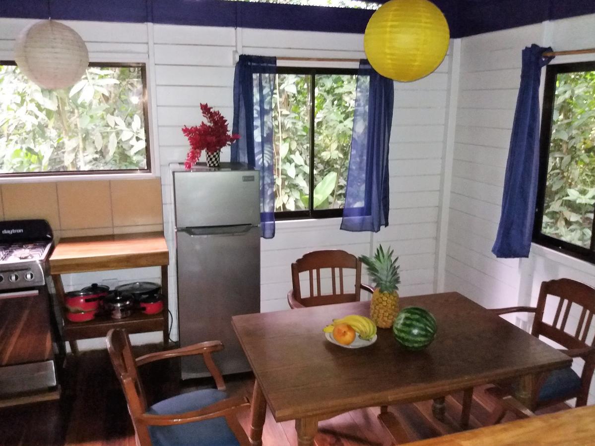 El Tucan Jungle Lodge Puerto Viejo de Talamanca エクステリア 写真